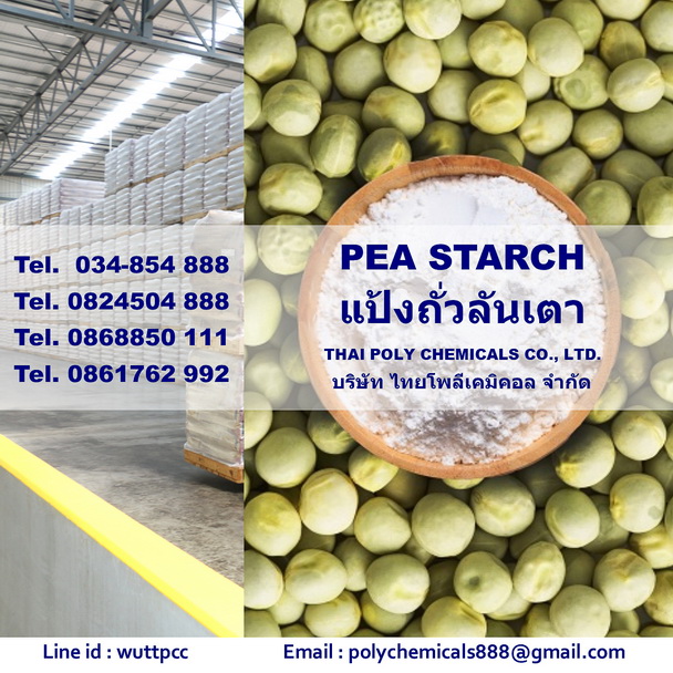 แป้งถั่วลันเตา, Pea Starch, จำหน่ายแป้งถั่วลันเตา, นำเข้าแป้งถั่วลันเตา, ขายแป้งถั่วลันเตา, Native Pea Starch